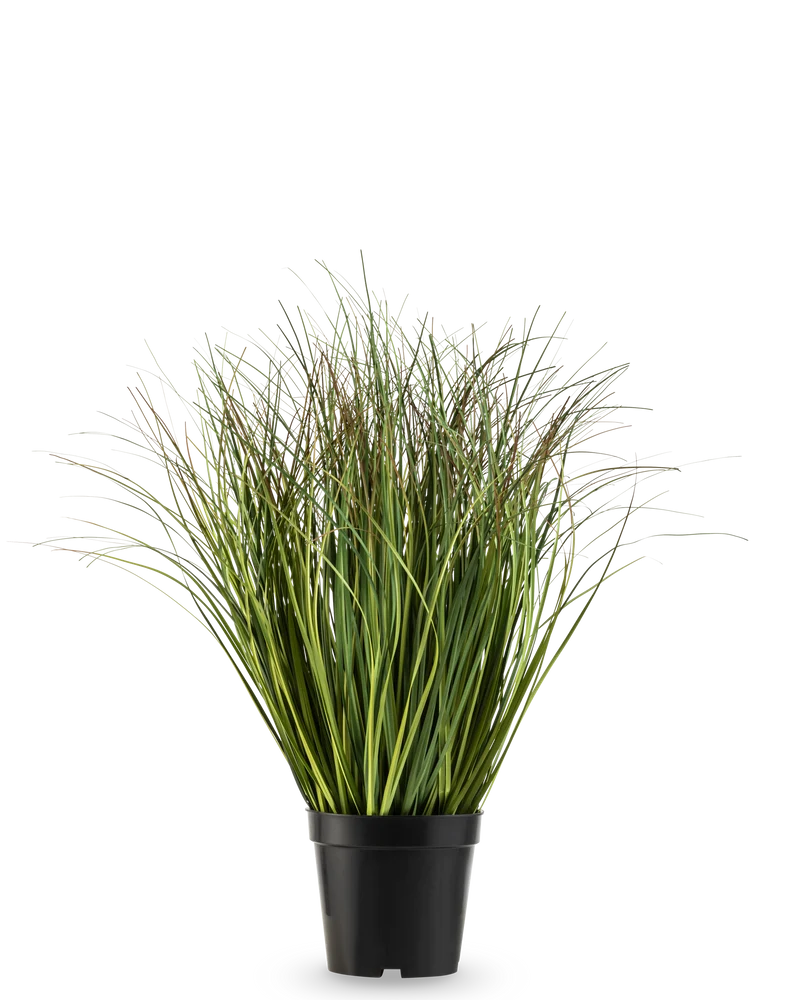 Kunst Grasplant droog groen 50 cm brandvertragend