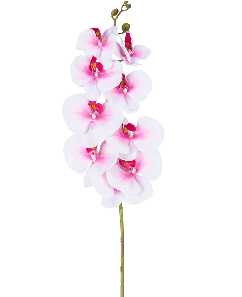 Kunst Orchidee Real Touch Deluxe 105 cm roze/wit