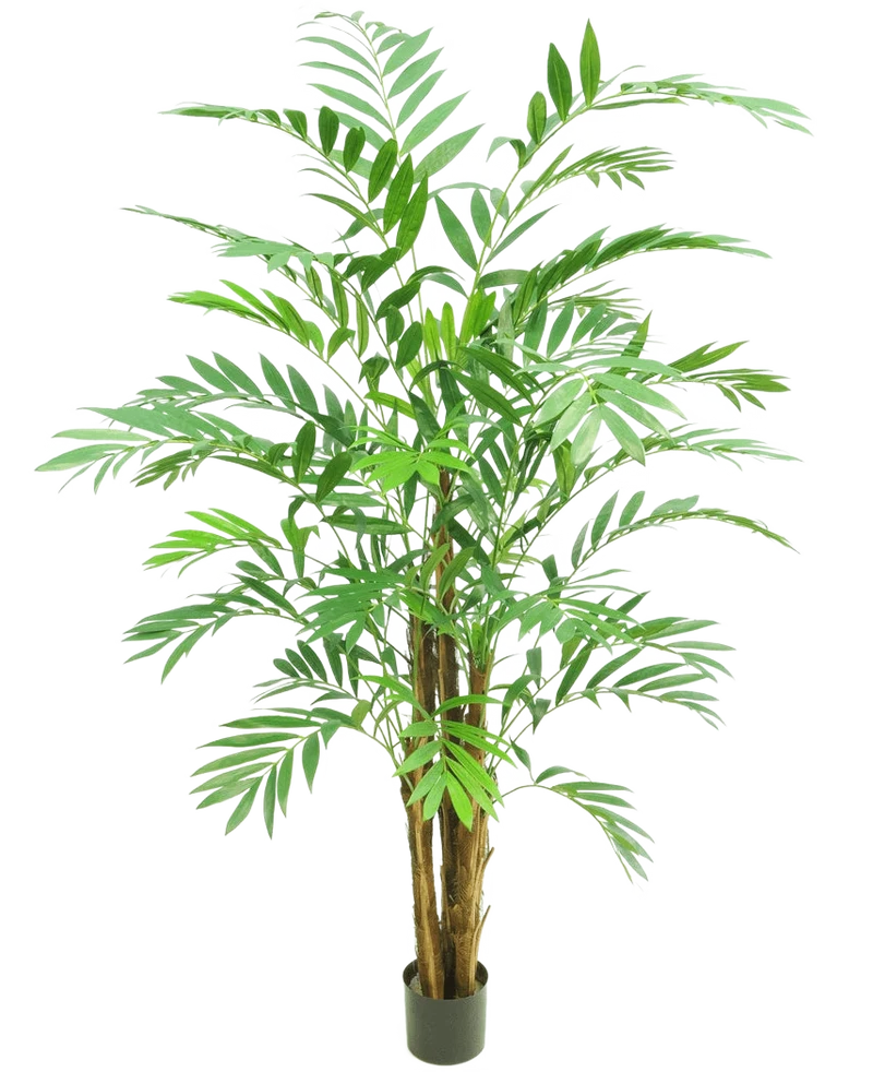 Kunstplant Hawaii Parlour 180 cm