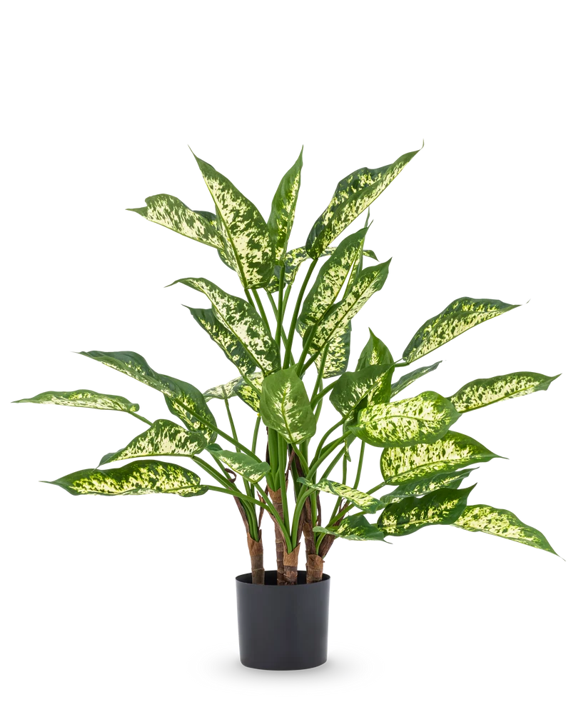 Kunstplant Dieffenbachia UV 75 cm