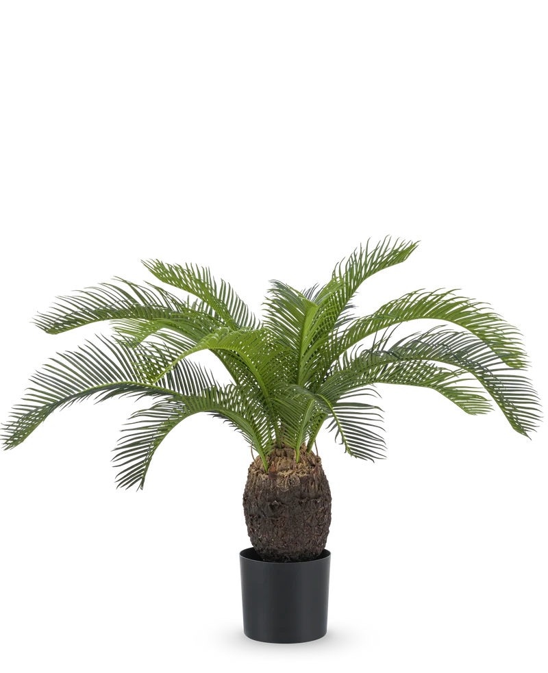 Kunstplant Baby Cycas Palm 60 cm