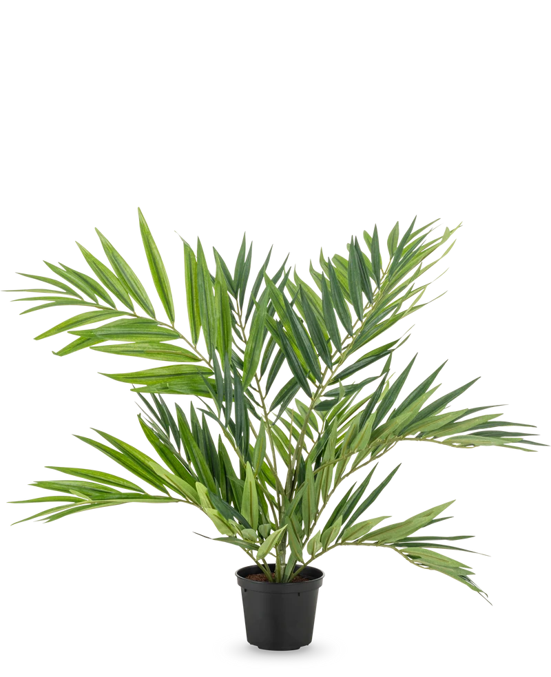 Kunstpalm Parlour UV 60 cm