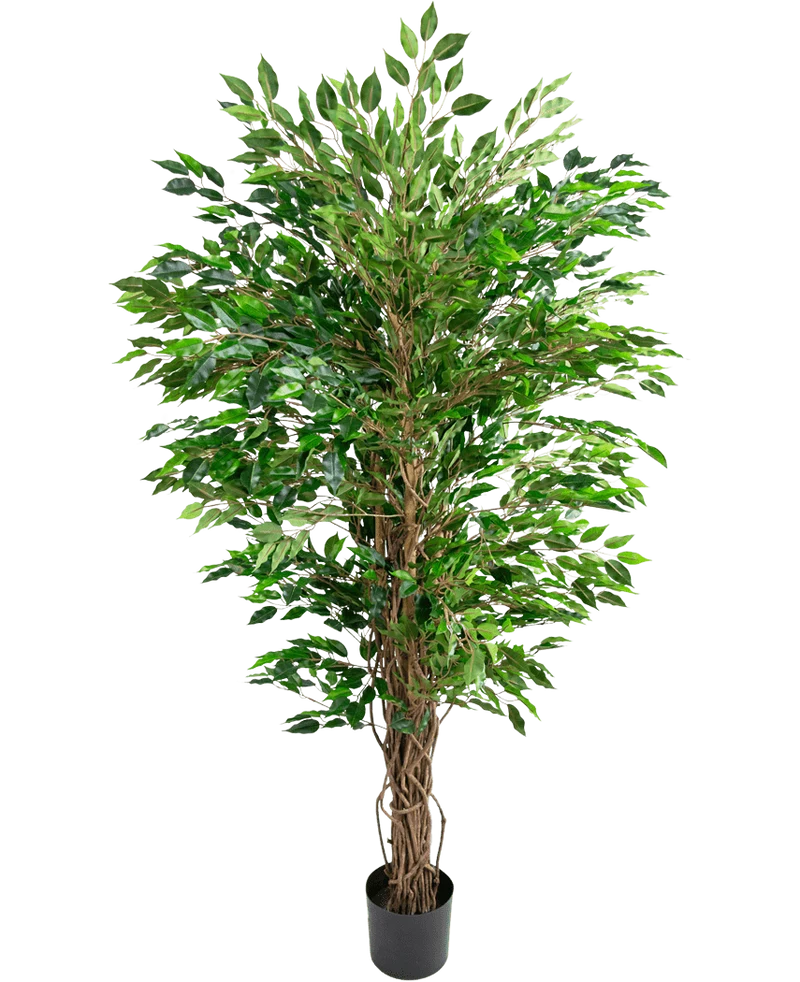 Kunstplant Hawaiian Ficus Liana 150 cm