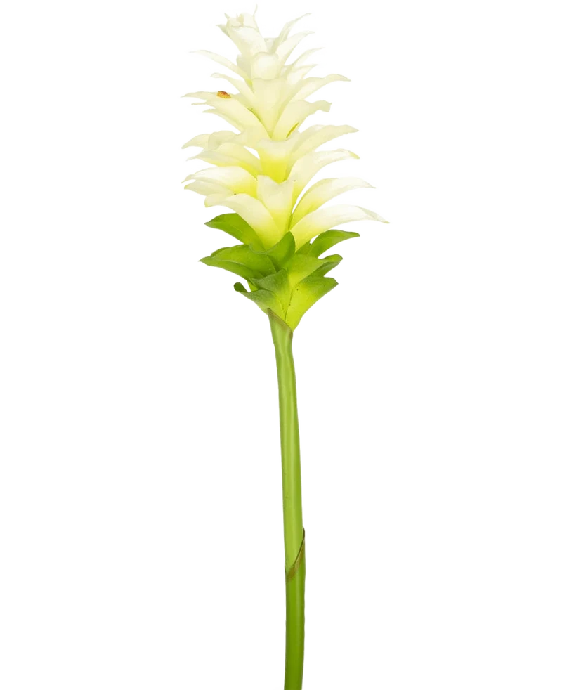 Kunstbloem Turmeric 80 cm