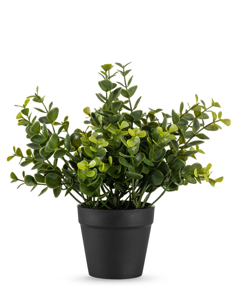 Kunstplant Pumila 20 cm