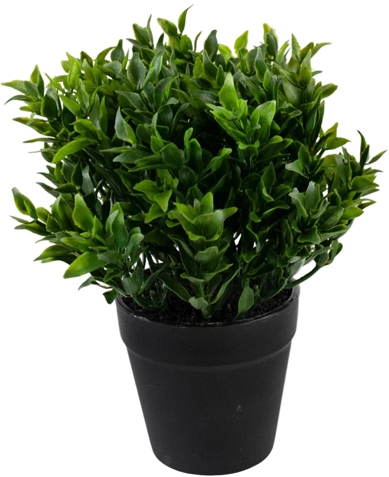 Kunstplant Groen 20 cm in pot