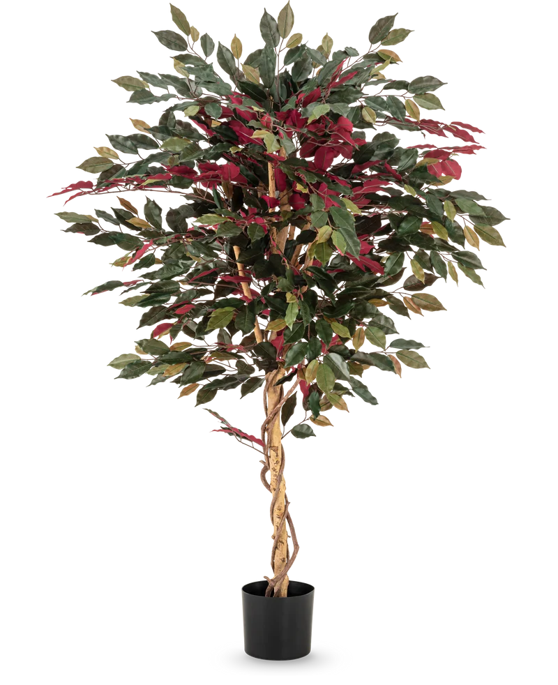 Kunstplant Ficus groen/rood 150 cm