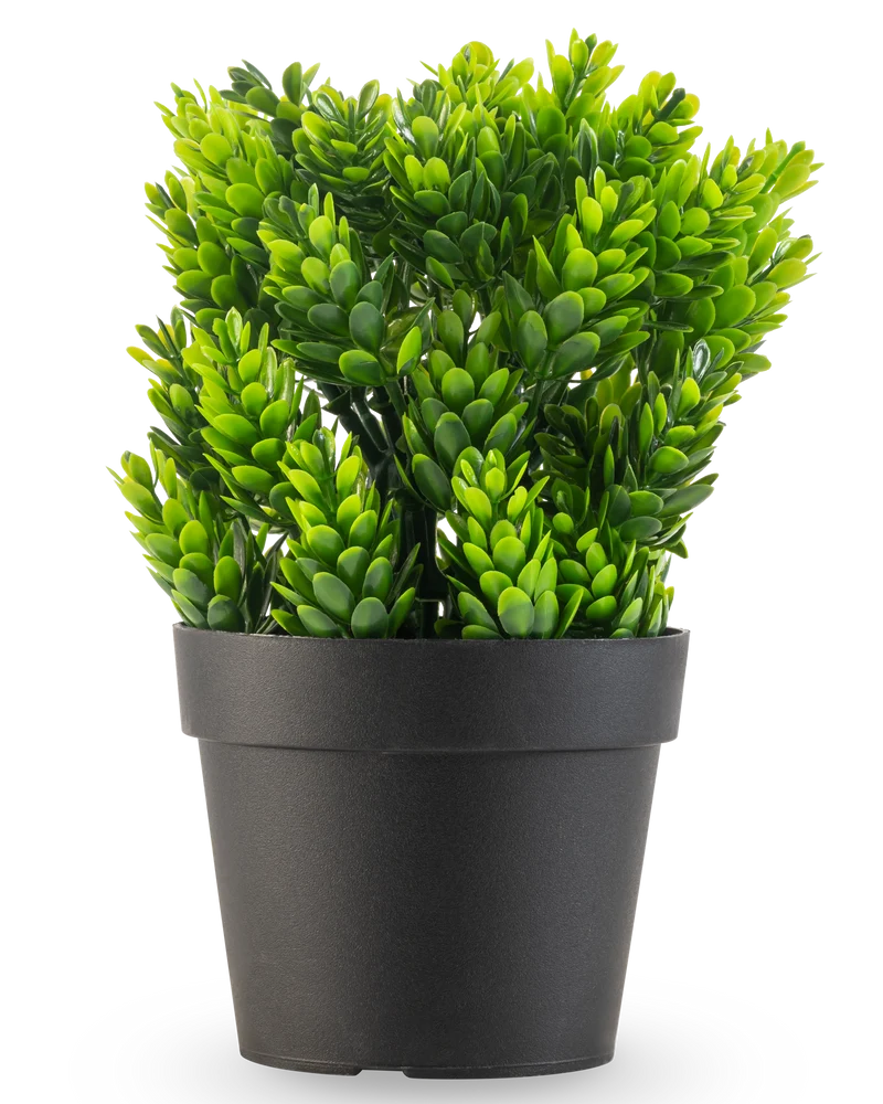 Kunstplant Conifeer in pot UV 19 cm