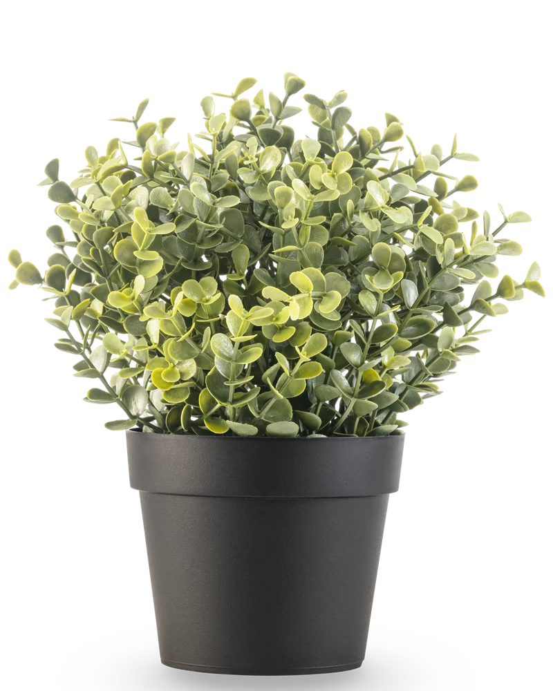 Kunstplant Buxus groen in pot UV 19 cm