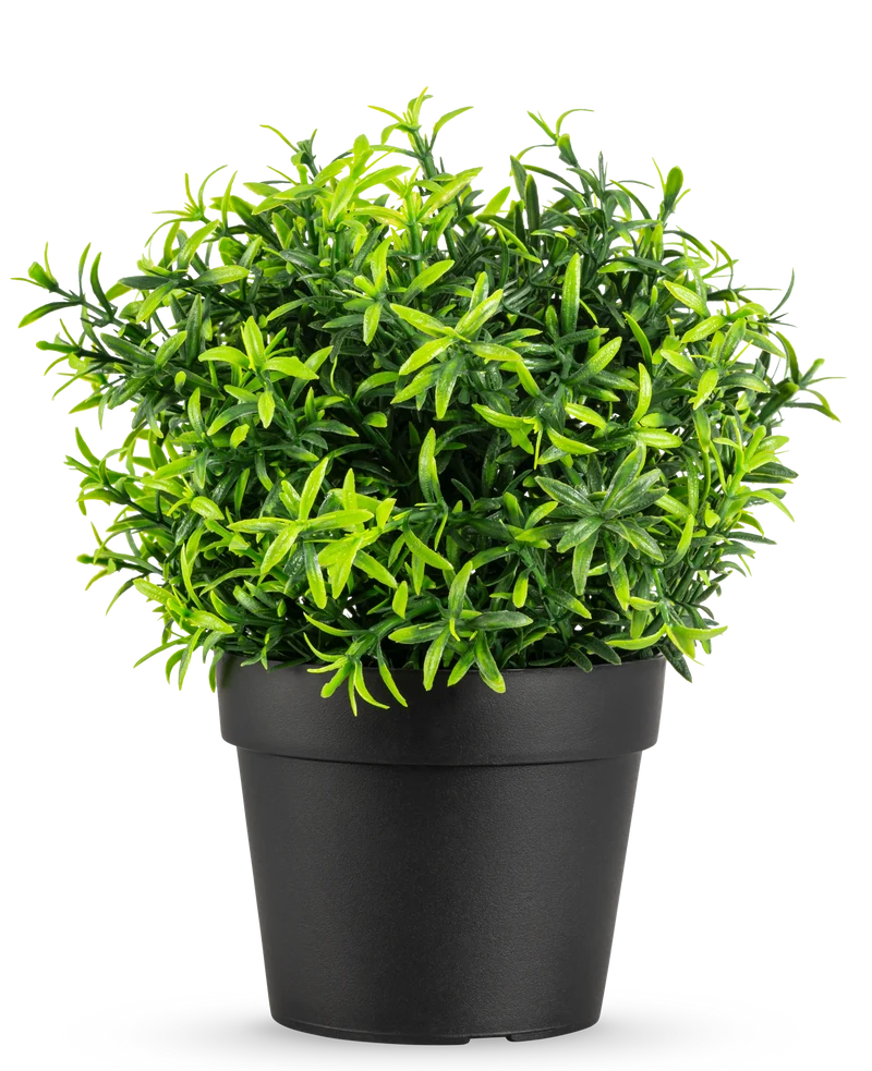 Kunstplant Kruiden in pot UV 21 cm