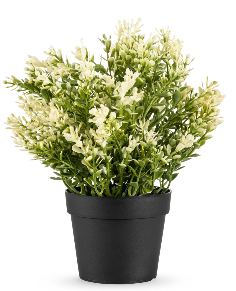 Kunstplant Buxus in pot UV 23 cm
