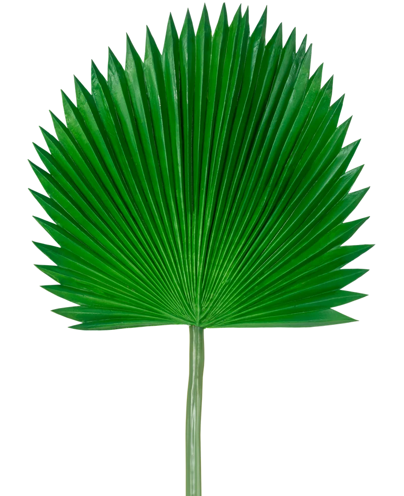 Kunstblad Washingtonia 105cm