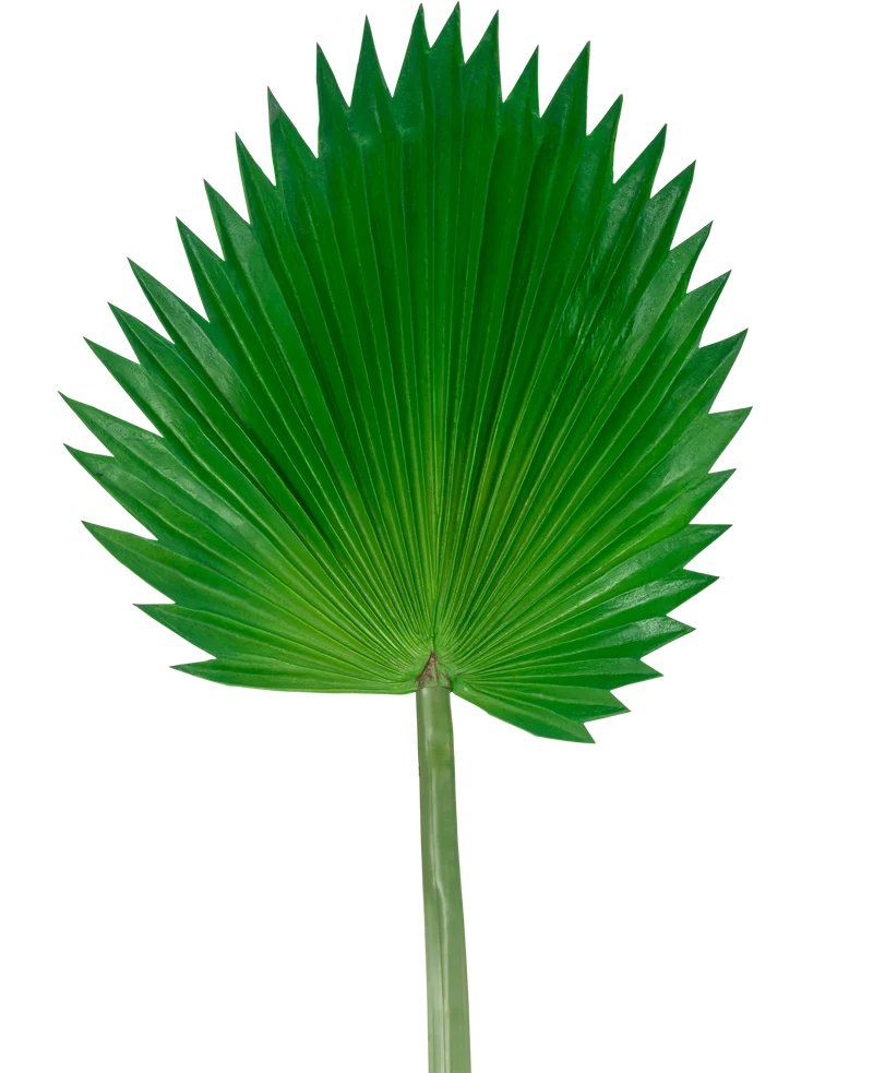 Kunstblad Washingtonia 83cm