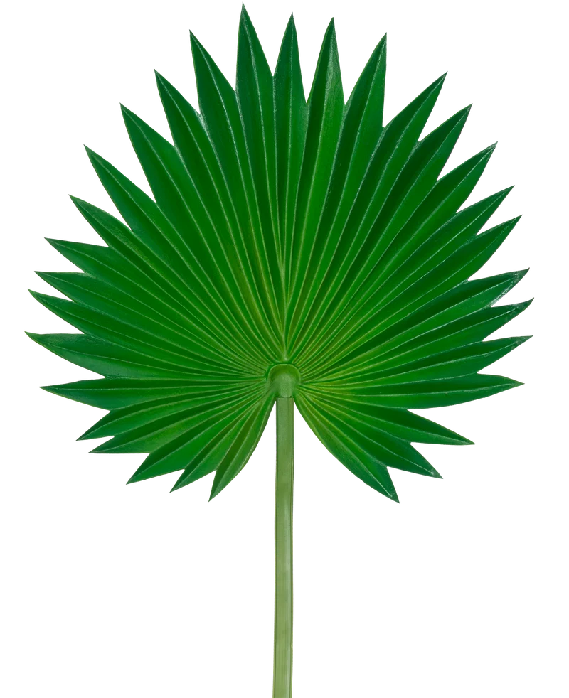 Kunstblad Washingtonia 73cm