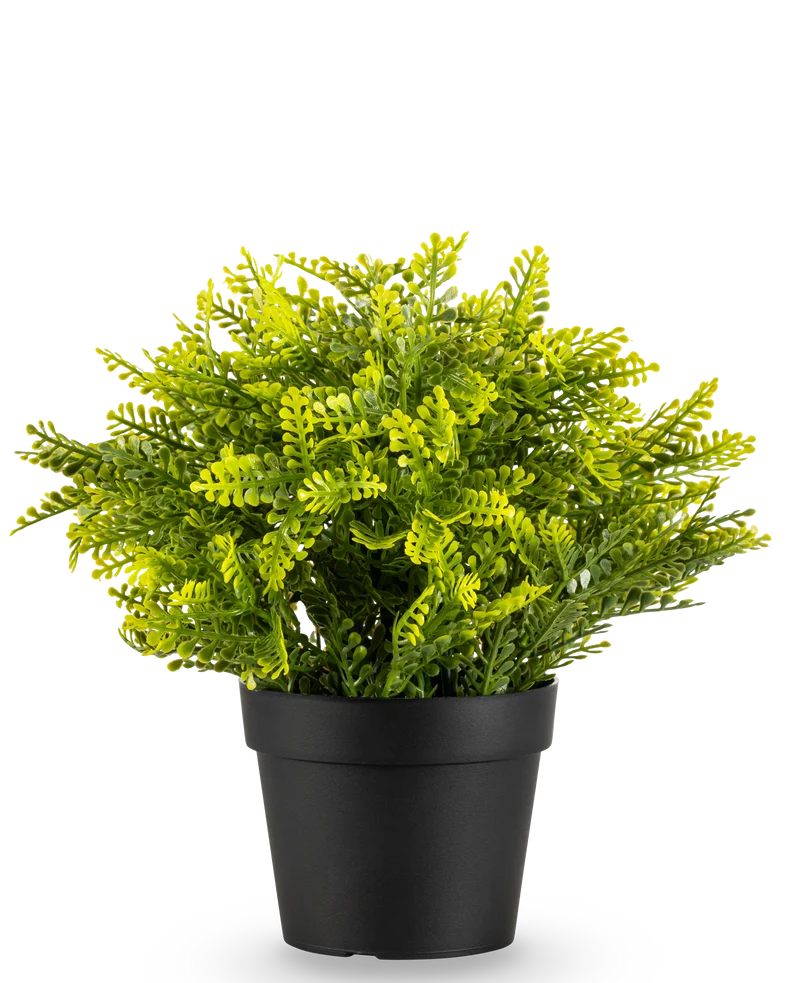 Kunstplant Varen in pot UV 22 cm