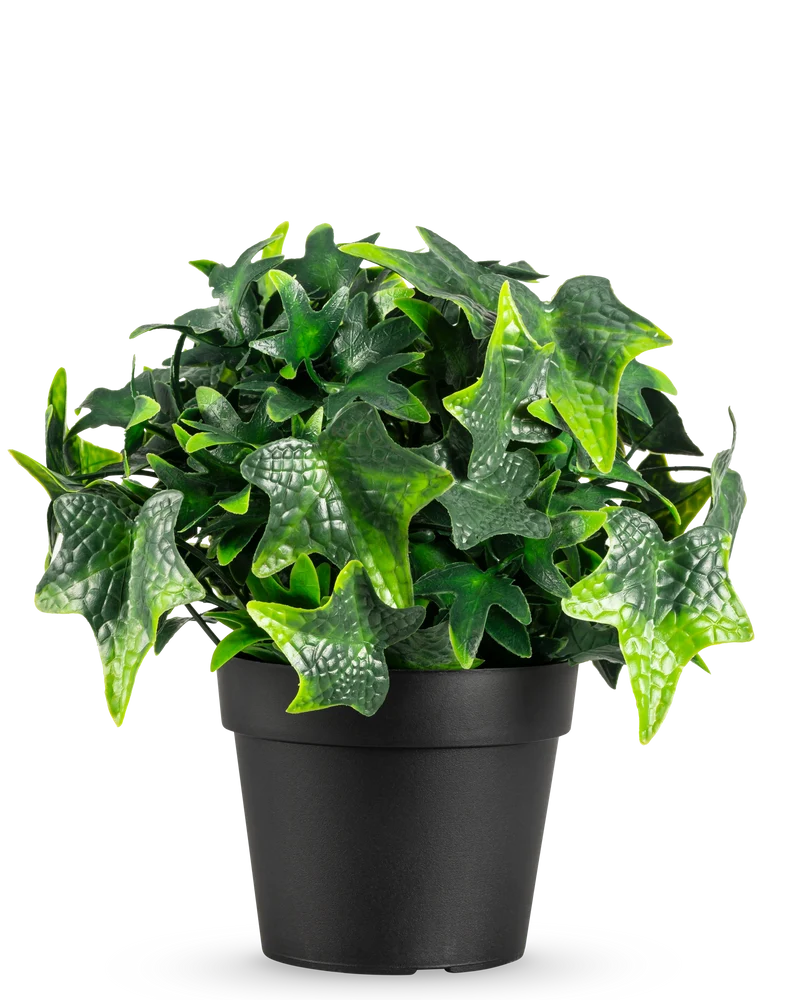 Kunstplant Klimop in pot UV 20 cm
