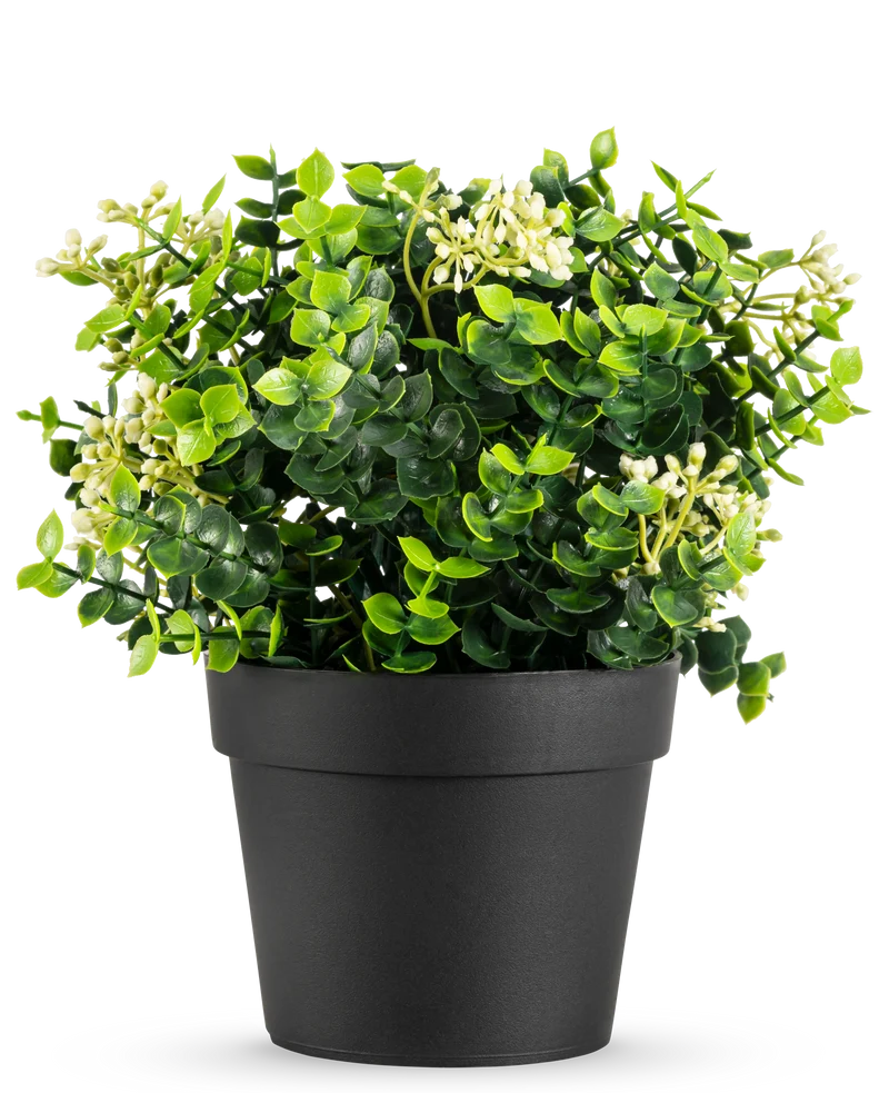 Kunstplant Eucalyptus mix UV 22 cm