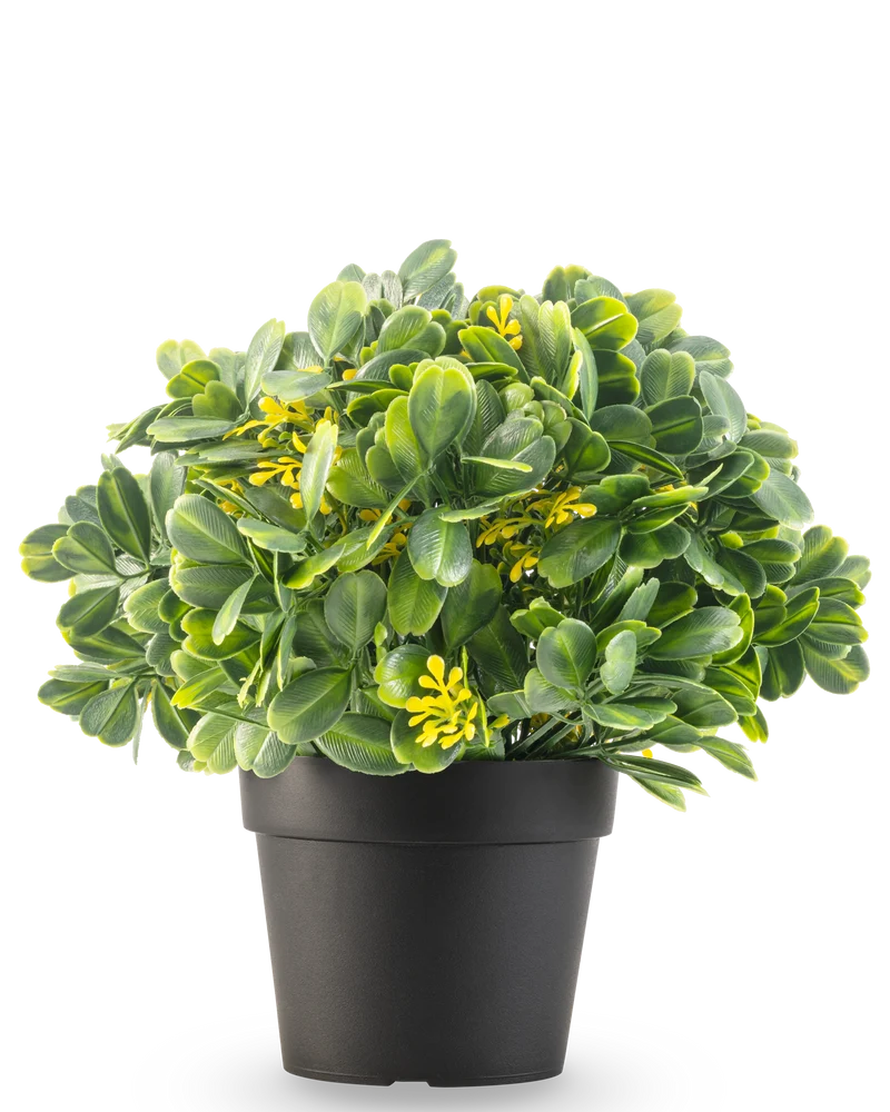 Kunstplant Groen/geel UV 21 cm