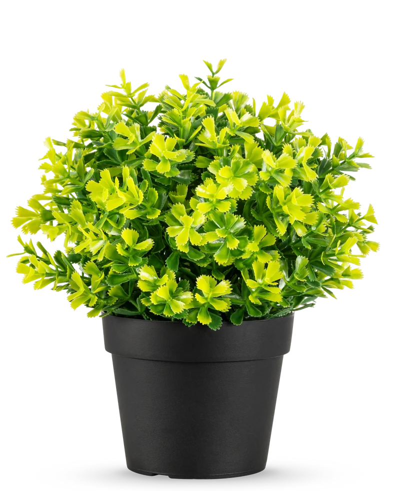 Kunstplant Rozemarijn UV 22 cm