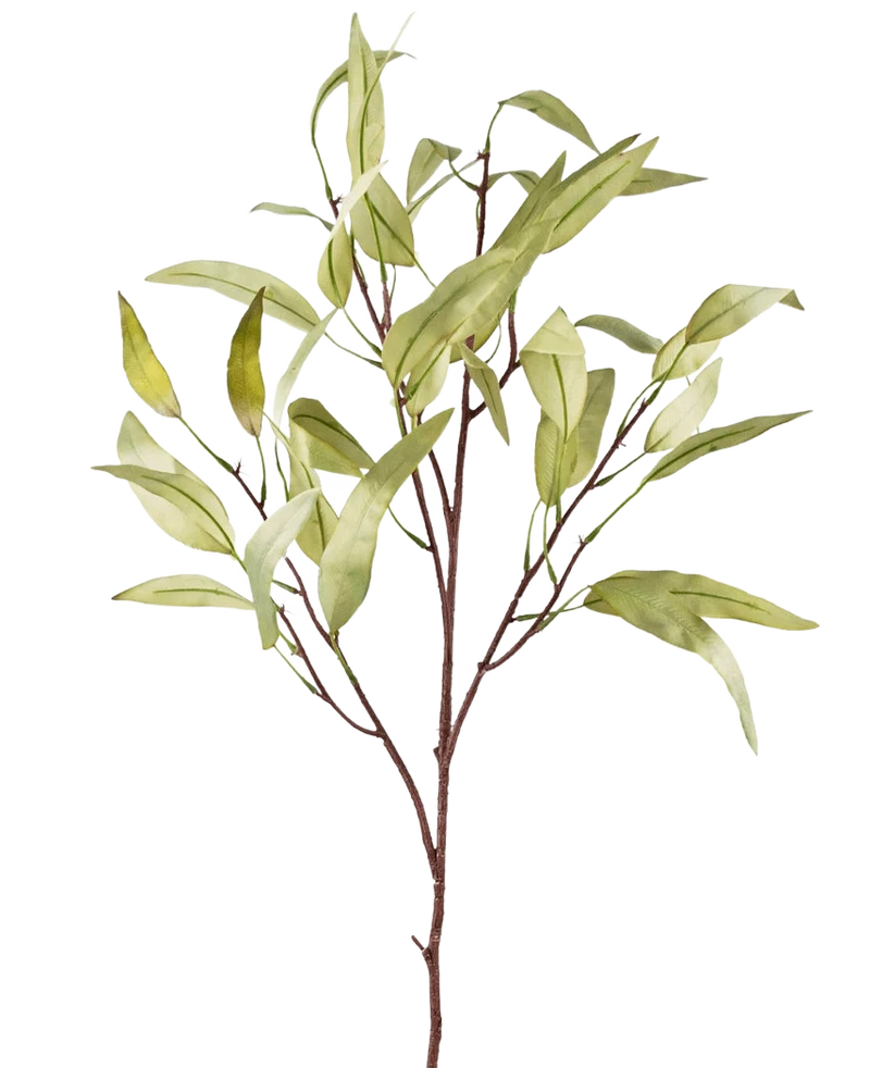 Kunsttak Eucalyptus Niphophila 108 cm groen