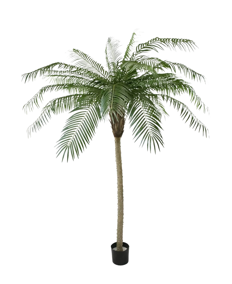Kunstpalm Phoenix De Luxe 210 cm