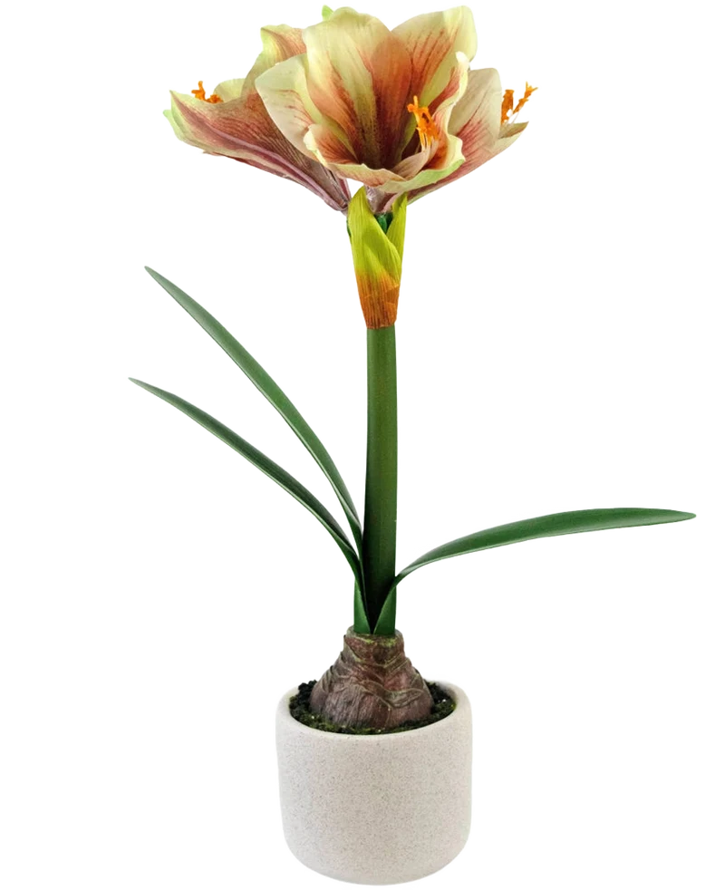 Kunstbloem Amaryllis Real Touch Rood/geel 48 cm