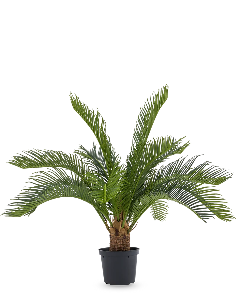 Kunstpalm Baby Cycus 45 cm