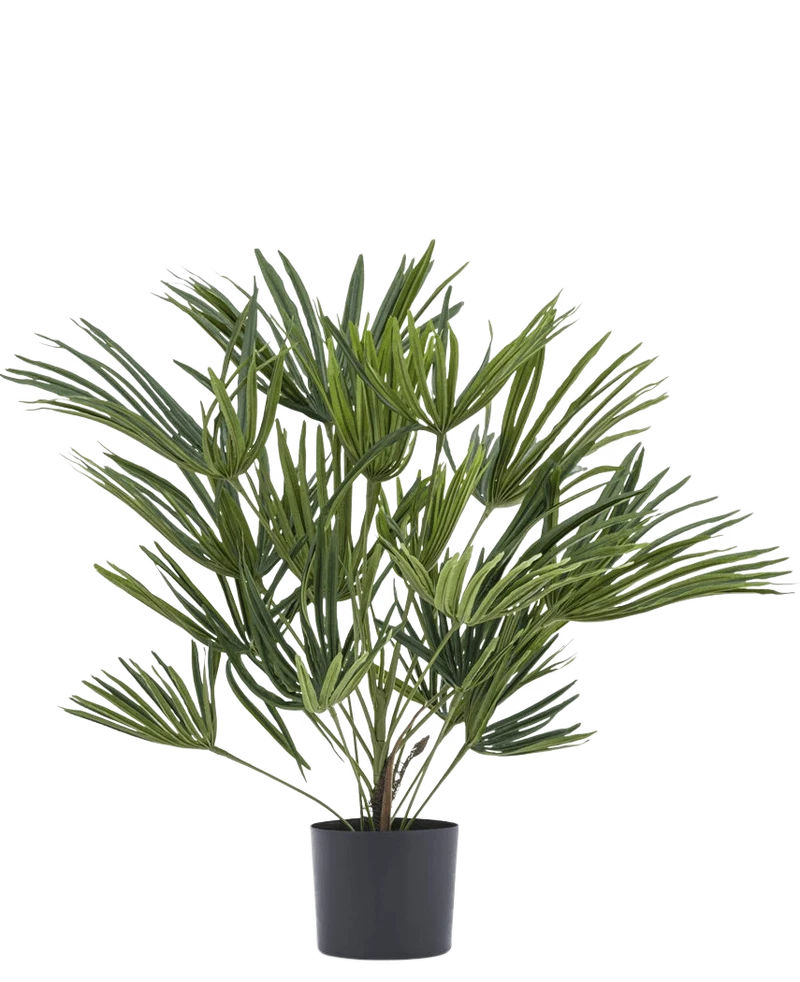 Kunstplant Baby Palm Fan in pot UV 50 cm