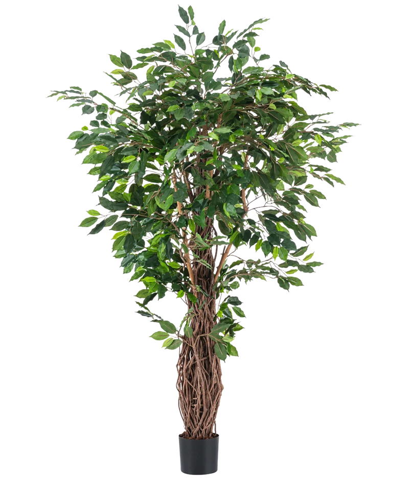 Kunstplant Ficus Tropical Liana 180 cm