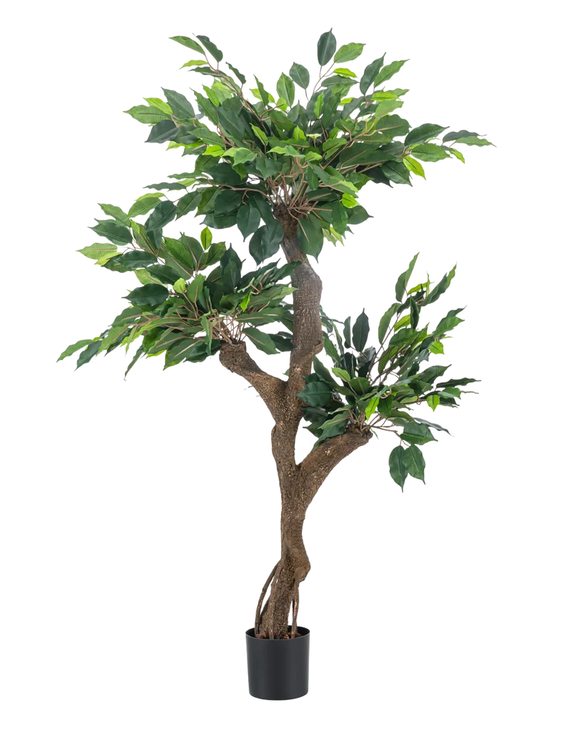 Kunstplant Ficus Crazy 120 cm