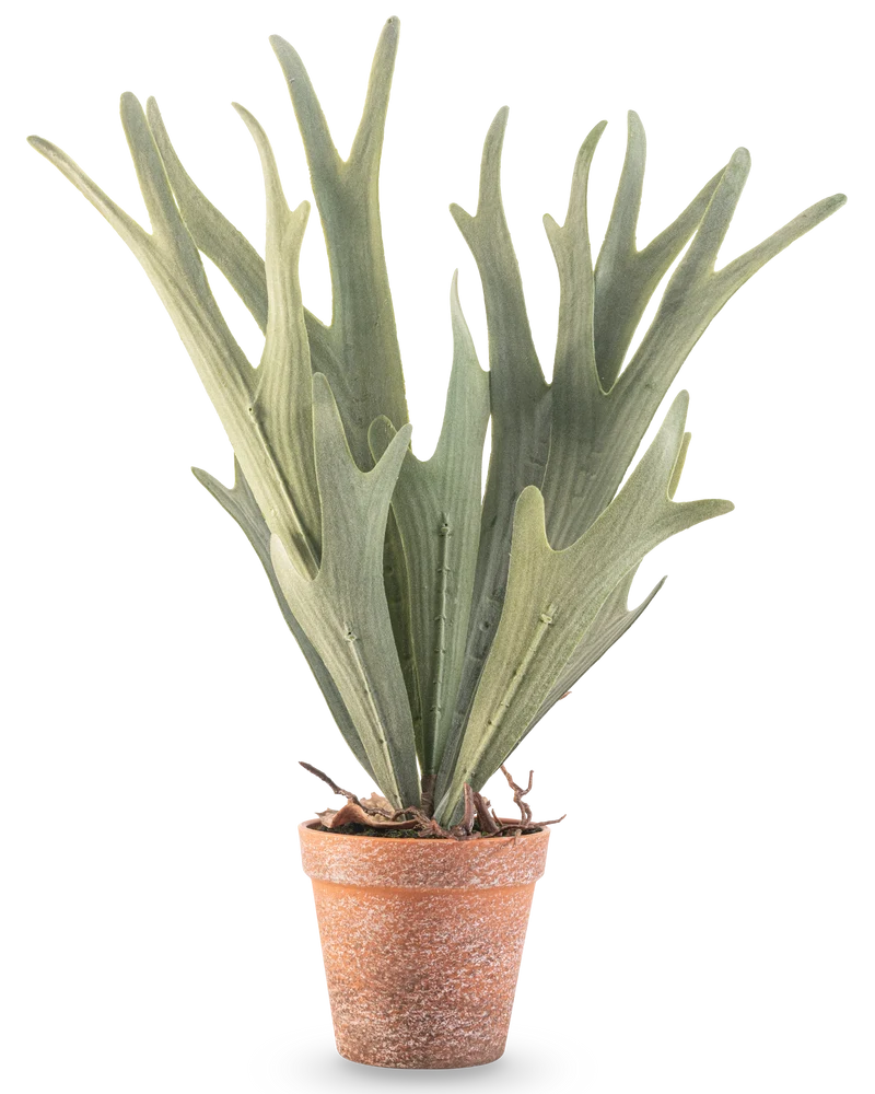 Kunstplant Varen Staghorn 43 cm
