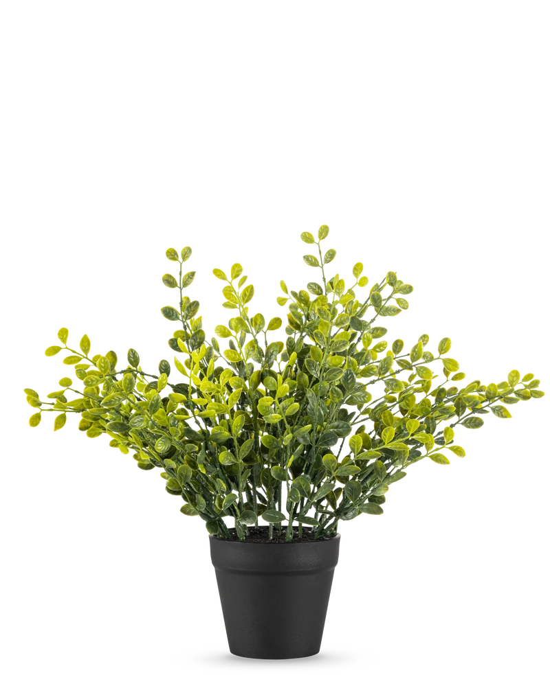Kunstplant Theebladeren 25 cm