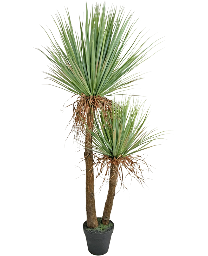 Kunstplant Yucca Deluxe 153 cm