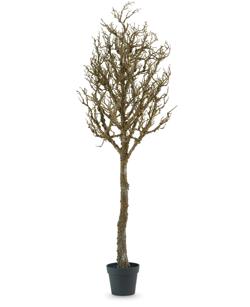 Kunst decoratie boom met takken 180 cm