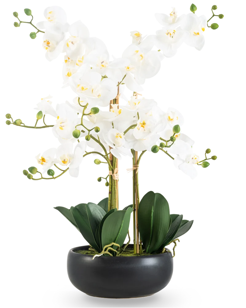 Kunst Orchidee Real Touch 50 cm wit in pot zwart