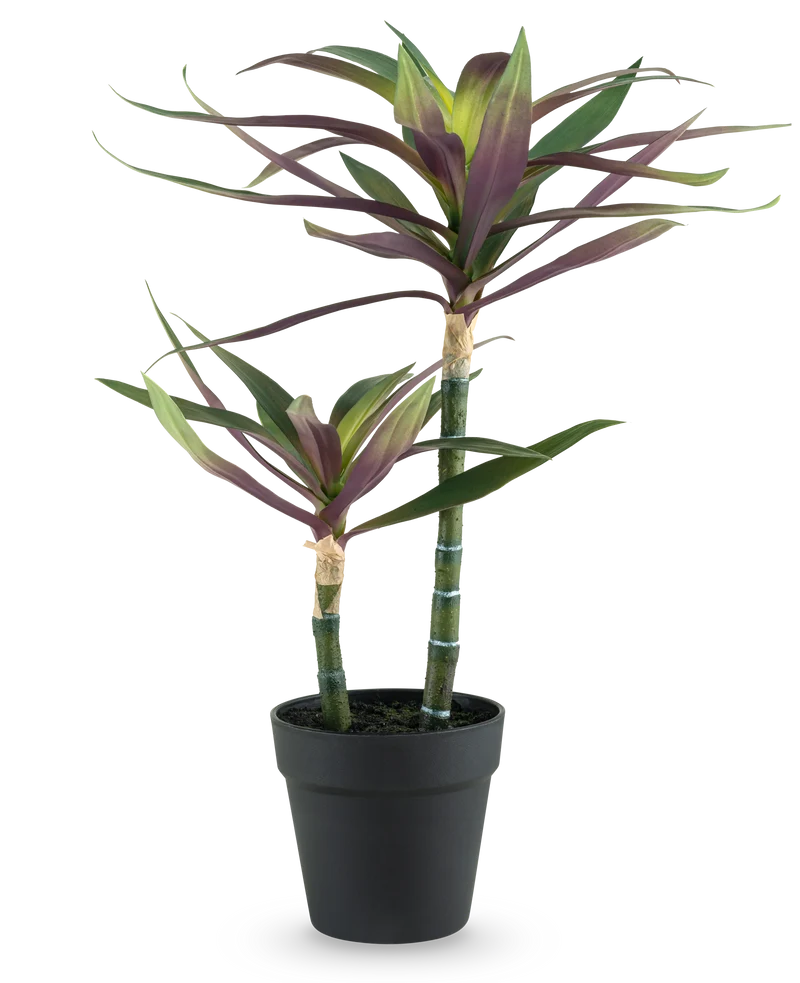 Kunstplant Yucca gigantea 53 cm