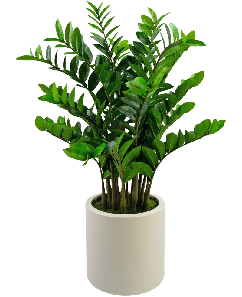 Kunstplant Zamioculcas kant en klaar in beige pot 120 cm
