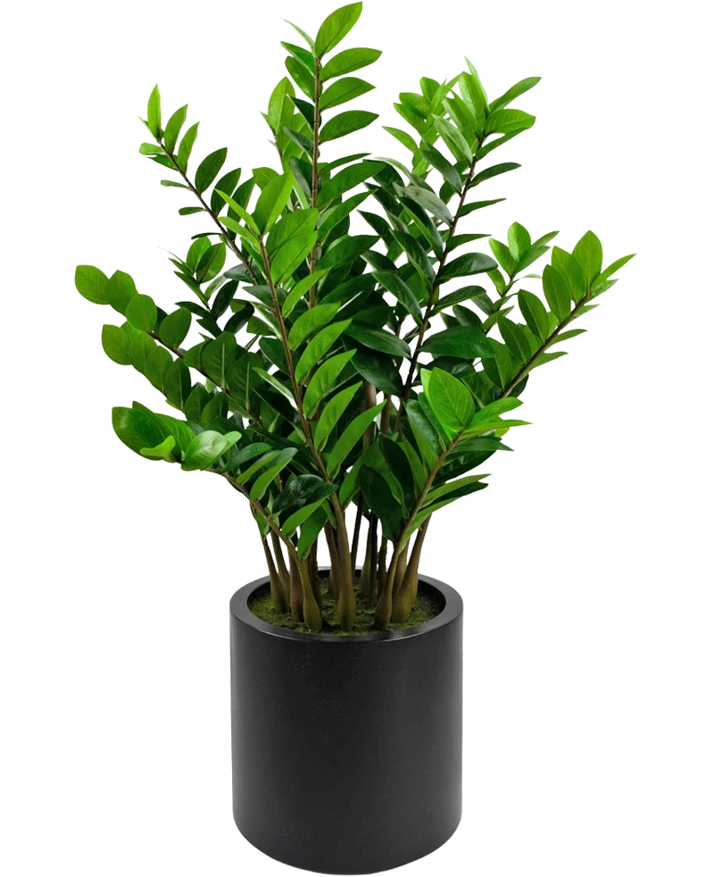 Kunstplant Zamioculcas kant en klaar in zwarte pot 120 cm
