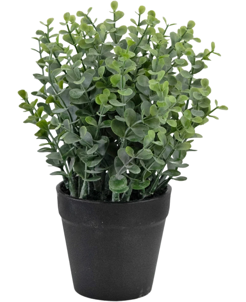 Kunstplant Pumila 23 cm