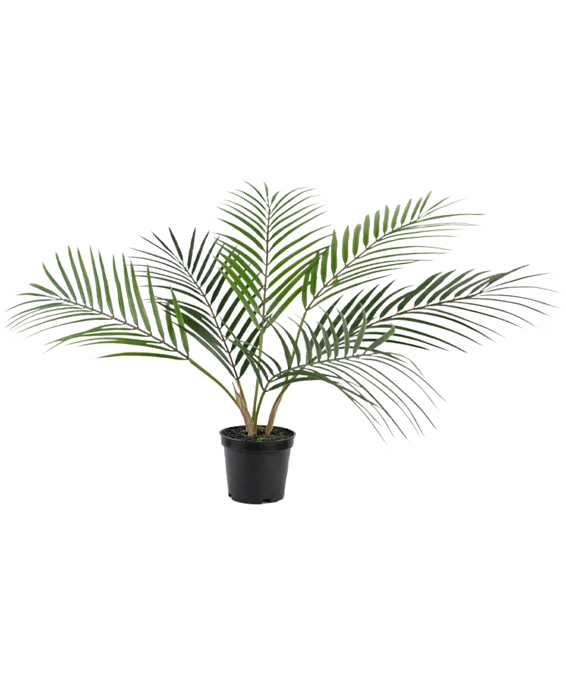 Kunstpalm Chamaedorea 48 cm