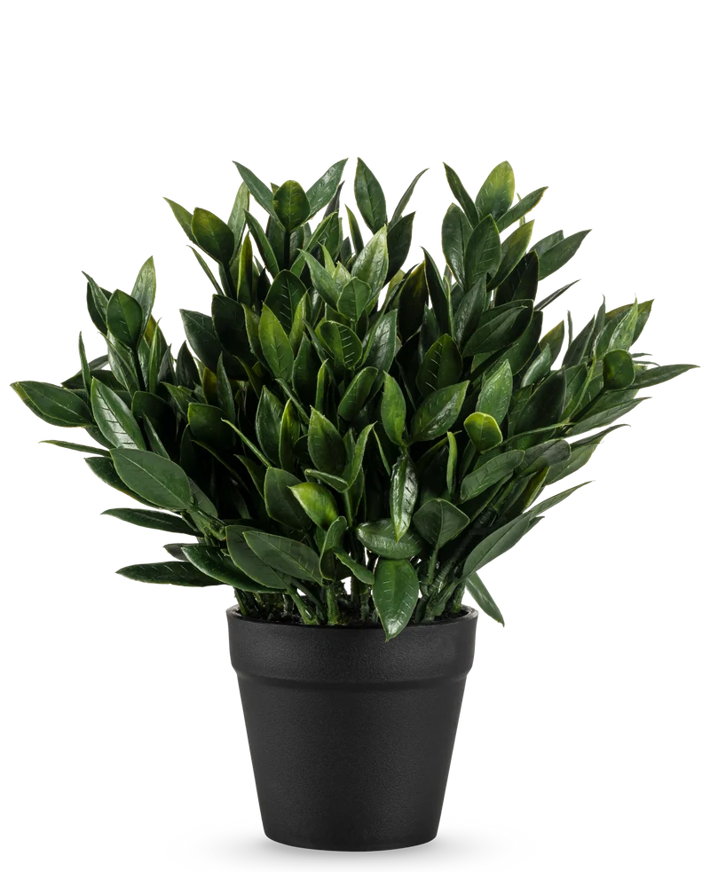 Kunstplant Pumila 23 cm