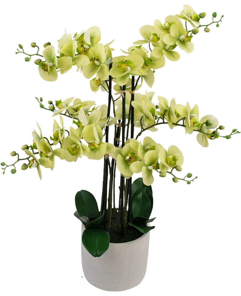 Kunst Orchidee Real Touch 81 cm groen