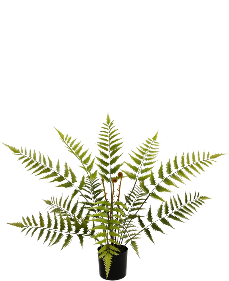 Kunstplant Varen 68 cm