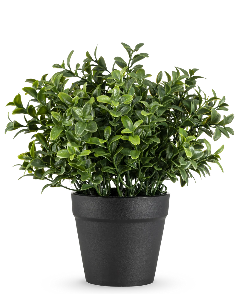Kunstplant Murraya 21 cm