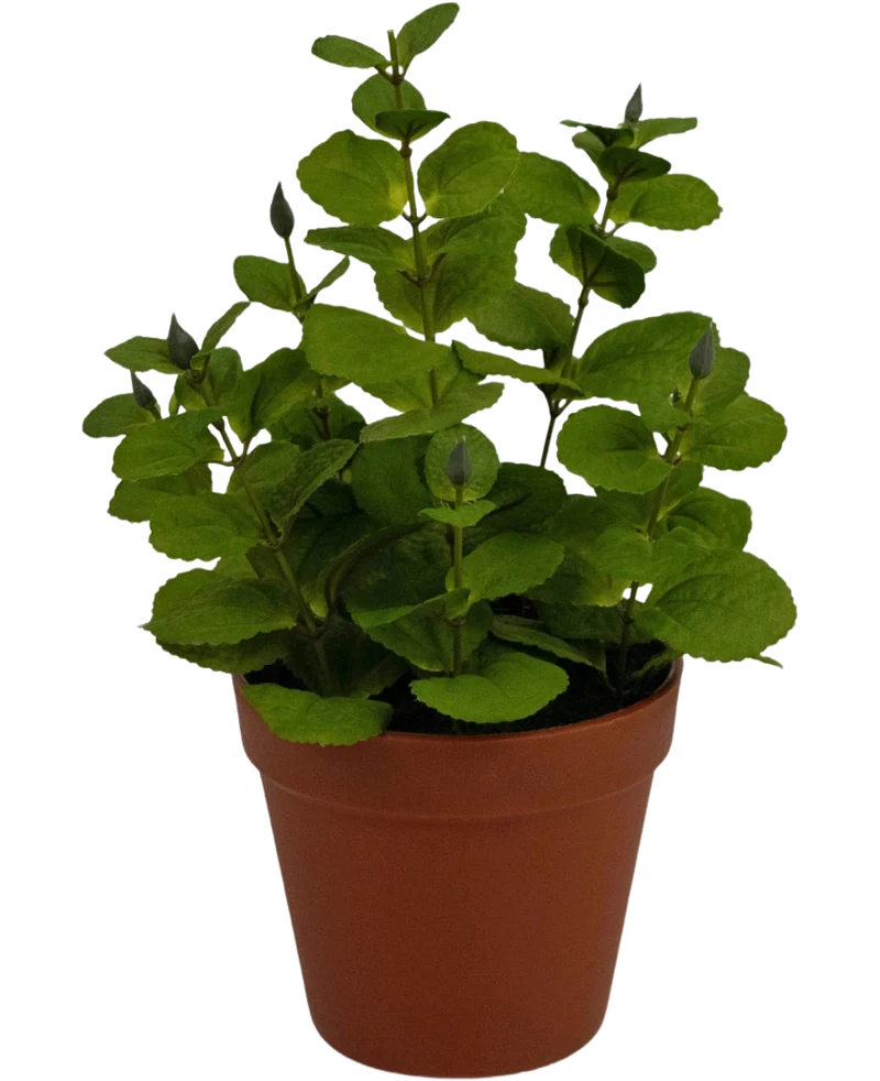 Kunstplant Mint 30 cm