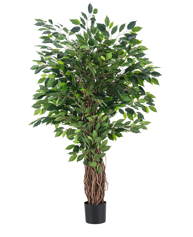 Kunstplant Ficus Tropisch Liana 150 cm