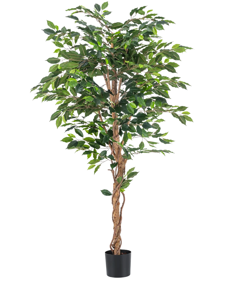 Kunstplant Ficus Groen 180 cm
