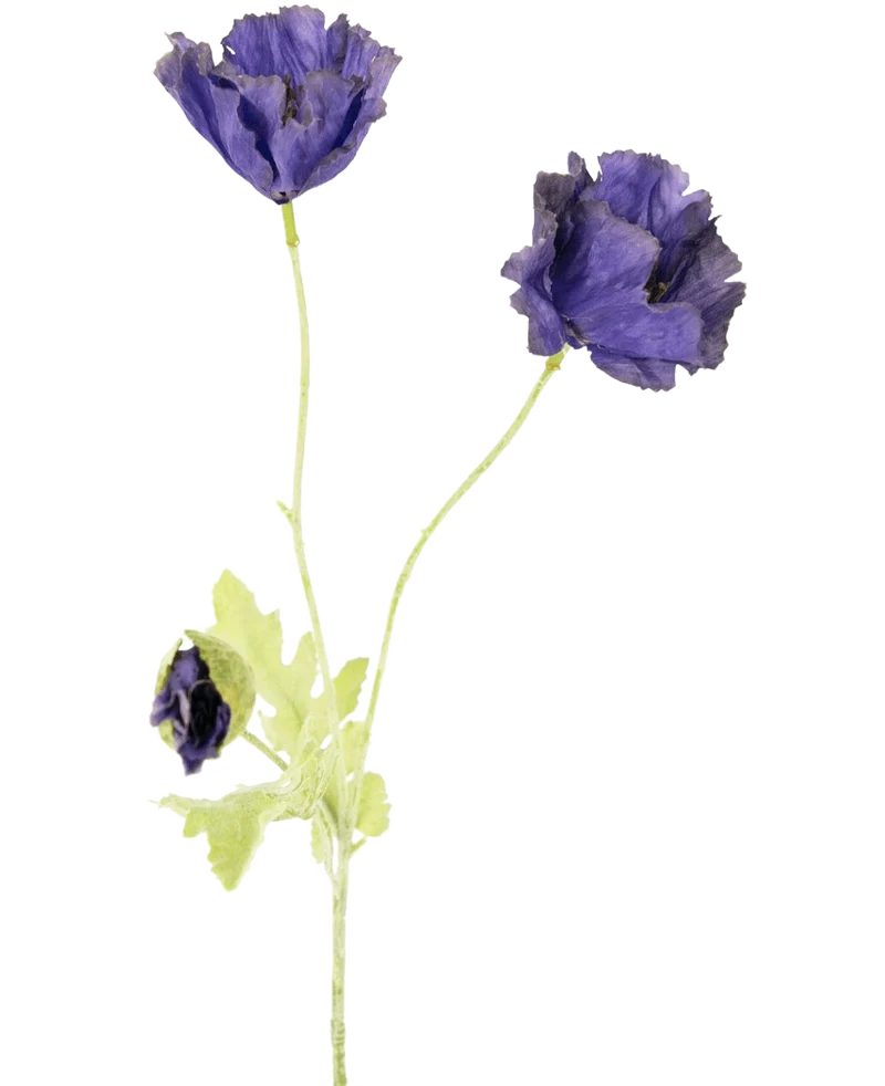 Kunstbloem Poppy 73 cm paars