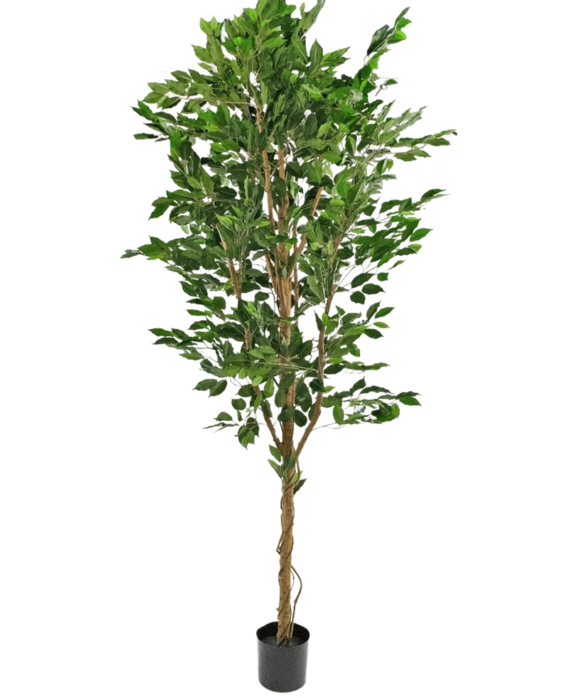 Kunstplant Ficus Groen 240 cm