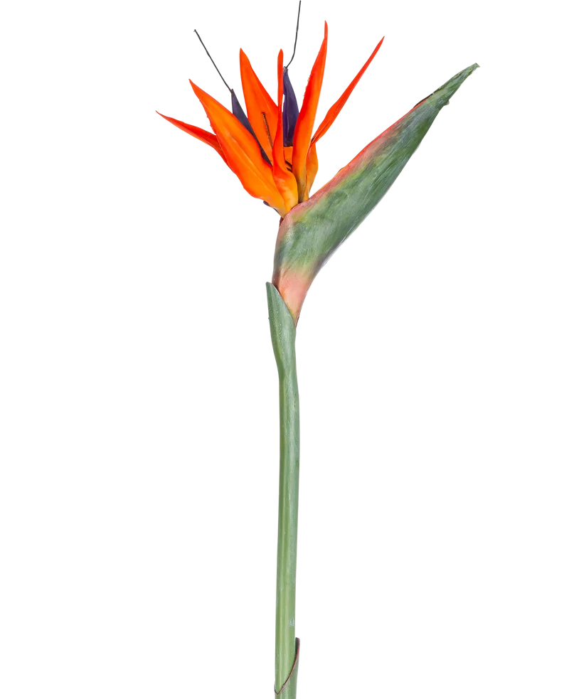 Kunstbloem Strelitzia 86 cm rood/paars